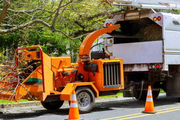 Best Residential Tree Removal  in Barrackville, WV